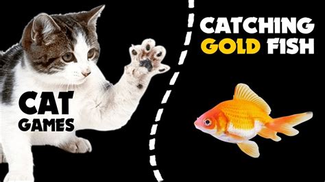 fish games for cats